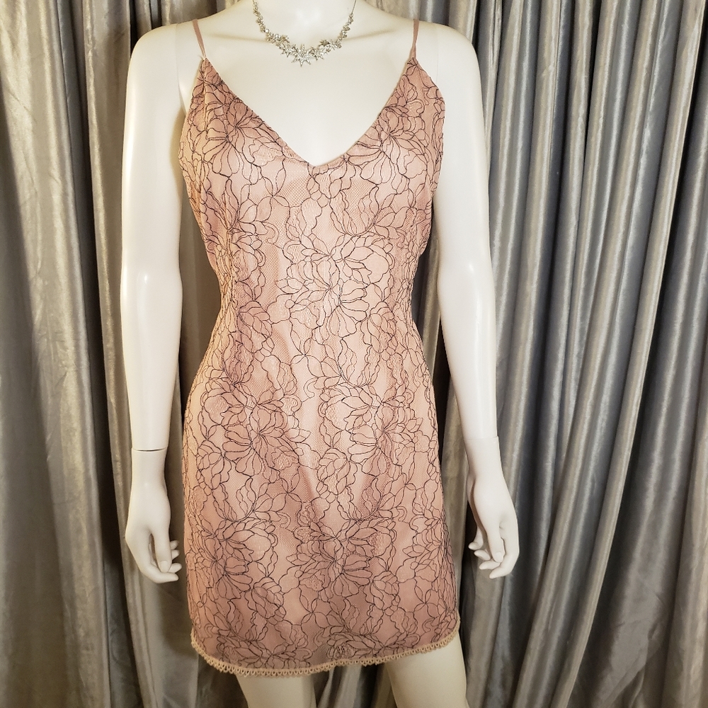 BB Dakota Let's Romance Mini Dress in Rose Smoke
